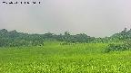 area3-20250711080052.jpg