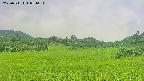 area3-20250711081053.jpg