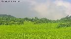 area3-20250711082059.jpg