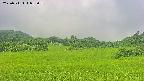 area3-20250711083101.jpg