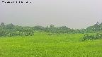 area3-20250711085055.jpg