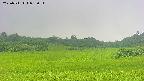 area3-20250711093057.jpg