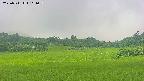 area3-20250711101056.jpg