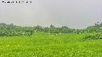 area3-20250711103058.jpg