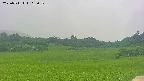 area3-20250711113051.jpg