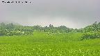 area3-20250711120056.jpg