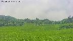 area3-20250711125057.jpg