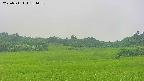 area3-20250711131057.jpg