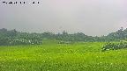 area3-20250711135052.jpg