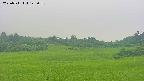 area3-20250711142057.jpg