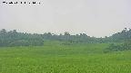 area3-20250711144051.jpg