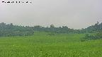 area3-20250711145052.jpg