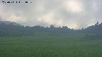 area3-20250711171051.jpg