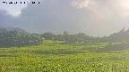 area3-20250711174055.jpg