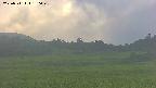 area3-20250711180049.jpg