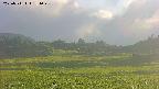 area3-20250711181049.jpg