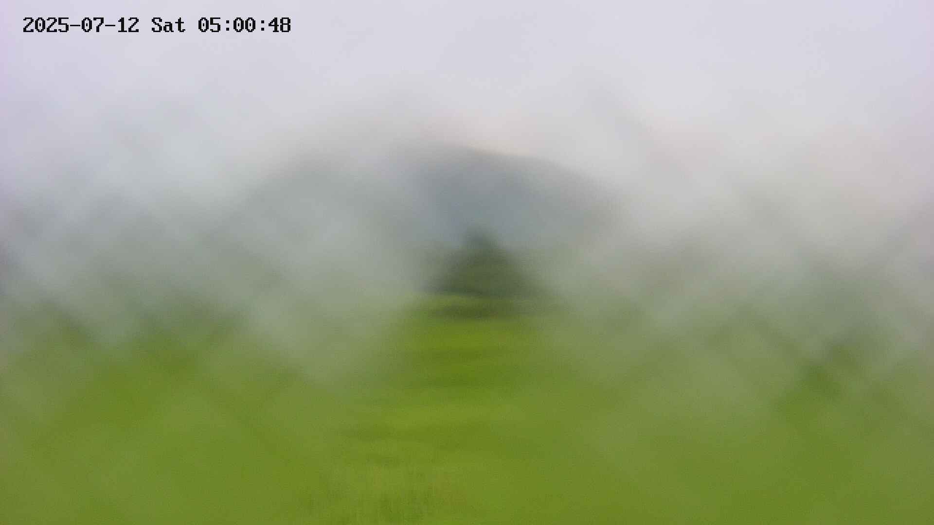 area3-20250712050049.jpg