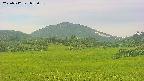 area3-20250712055057.jpg