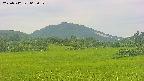 area3-20250712063054.jpg