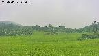 area3-20250712072053.jpg