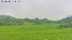 area3-20250712073053.jpg