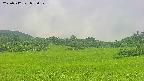 area3-20250712075054.jpg