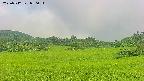 area3-20250712080058.jpg