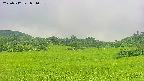 area3-20250712081100.jpg
