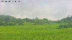 area3-20250712082051.jpg