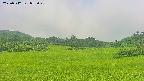 area3-20250712083050.jpg