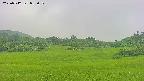 area3-20250712085051.jpg