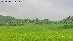 area3-20250712093050.jpg