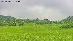 area3-20250712101051.jpg
