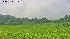 area3-20250712103054.jpg