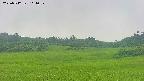 area3-20250712111053.jpg