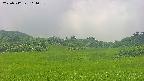 area3-20250712114056.jpg
