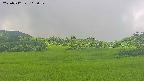 area3-20250712115055.jpg