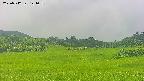 area3-20250712121056.jpg