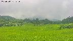 area3-20250712123102.jpg