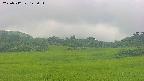 area3-20250712125053.jpg