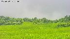 area3-20250712131103.jpg