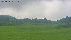 area3-20250712132058.jpg
