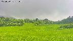 area3-20250712133103.jpg