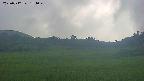 area3-20250712154050.jpg