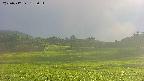 area3-20250712182053.jpg