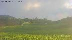 area3-20250712183053.jpg