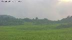 area3-20250712185049.jpg