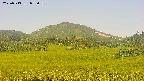 area3-20250713055055.jpg