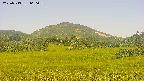 area3-20250713060100.jpg