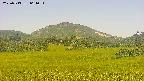 area3-20250713061053.jpg
